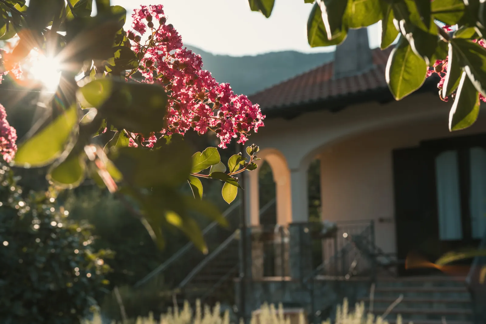 La casa vista dal giardino, con i fiori rosa in primo piano