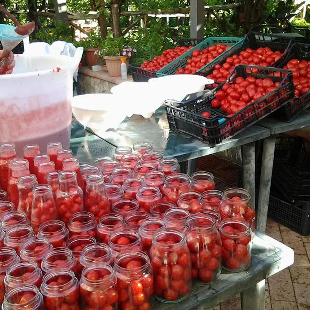 Un cestino di verdure dell’orto